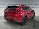 2024 Honda CR-V Sport AWD image 5