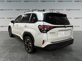 2025 Subaru Forester Limited AWD/ EYE SIGHT /  NAV/ LEATHER/ ROOF image 3