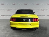2021 Ford Mustang EcoBoost Convertible image 4