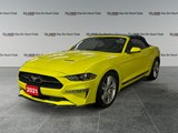 2021 Ford Mustang EcoBoost Convertible image 1