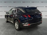 2022 Hyundai Tucson Preferred / Carplay/ Lane Keep/  Adaptive Cruise image 3