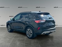 2021 Ford Escape Titanium Hybrid AWD
