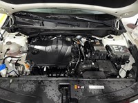 2023 Kia Sportage EX AWD
