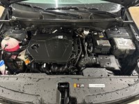 2024 Kia Sportage EX AWD