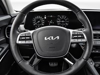 2025 Kia Telluride SX Limited AWD w/Black Interior