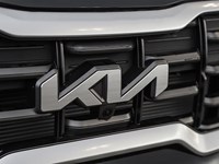 2025 Kia Telluride SX Limited AWD w/Black Interior