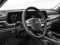 2025 Kia Telluride SX Limited AWD w/Black Interior