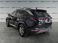 2024 Hyundai Tucson Trend