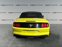 2021 Ford Mustang EcoBoost Convertible