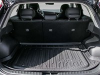 2026 Kia Niro EV Wind +