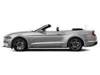 2021 Ford Mustang EcoBoost Exterior Shot 6