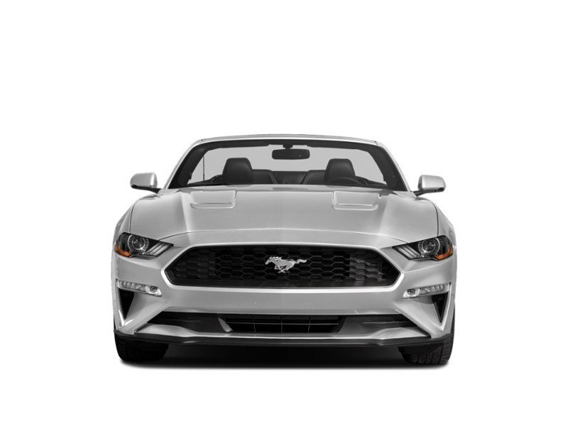 2021 Ford Mustang EcoBoost Exterior Shot 5