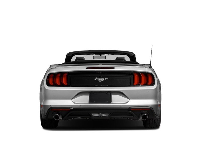 2021 Ford Mustang EcoBoost Exterior Shot 7