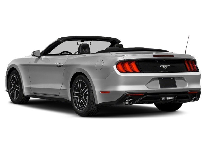 2021 Ford Mustang EcoBoost Exterior Shot 9