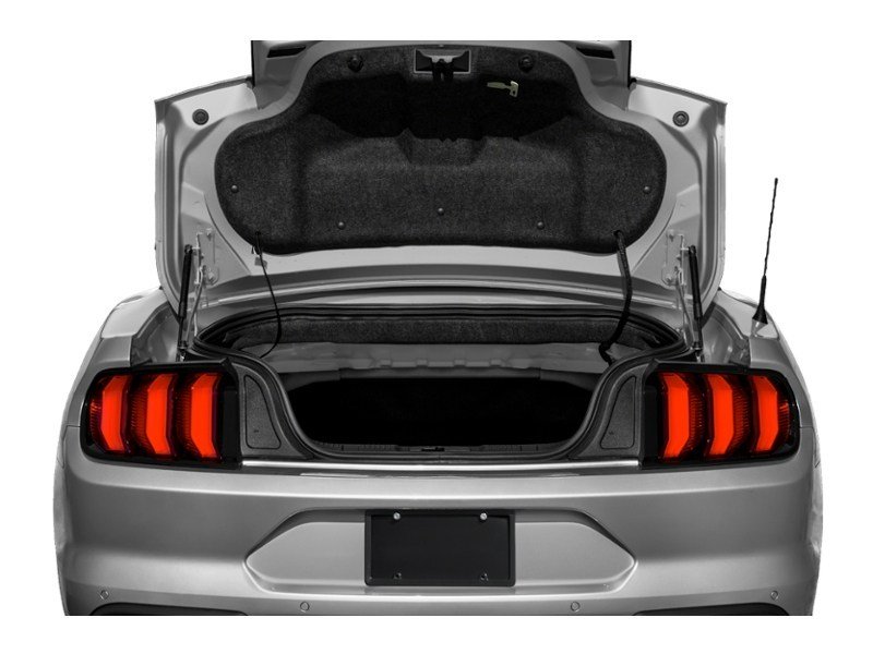 2021 Ford Mustang EcoBoost Exterior Shot 4