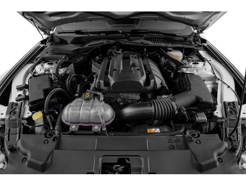 2021 Ford Mustang EcoBoost Exterior Shot 3
