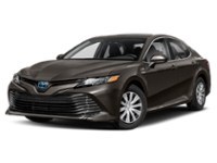 2019 Toyota Camry Hybrid LE Exterior Shot 1