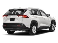 2019 Toyota RAV4 LE Exterior Shot 2