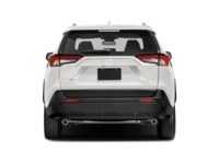 2019 Toyota RAV4 LE Exterior Shot 7