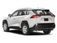 2019 Toyota RAV4 LE Exterior Shot 9