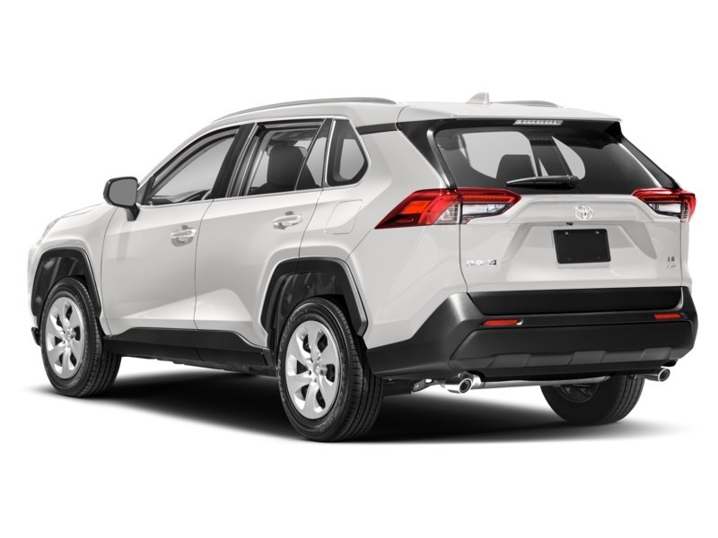 2019 Toyota RAV4 LE Exterior Shot 9