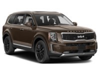 2022 Kia Telluride SX Exterior Shot 8