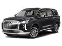 2024 Hyundai Palisade Ultimate Calligraphy Exterior Shot 1
