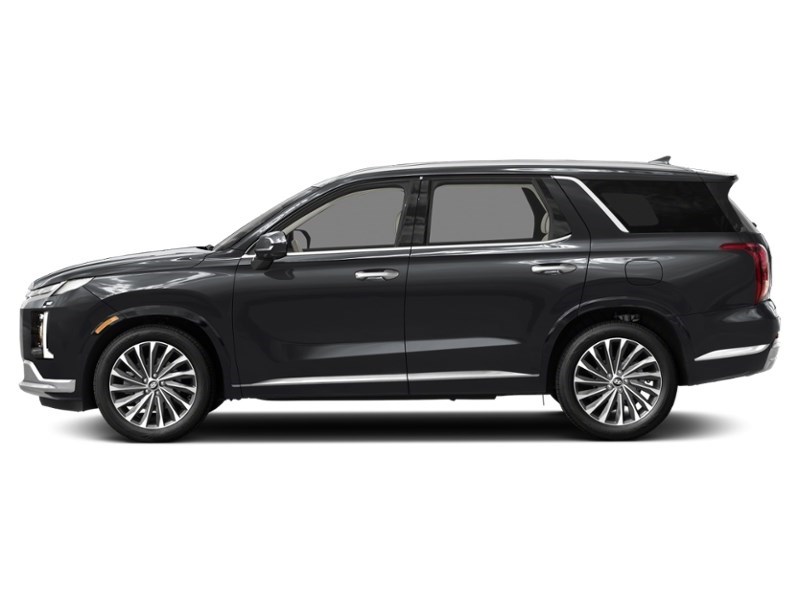 2024 Hyundai Palisade Ultimate Calligraphy Exterior Shot 6