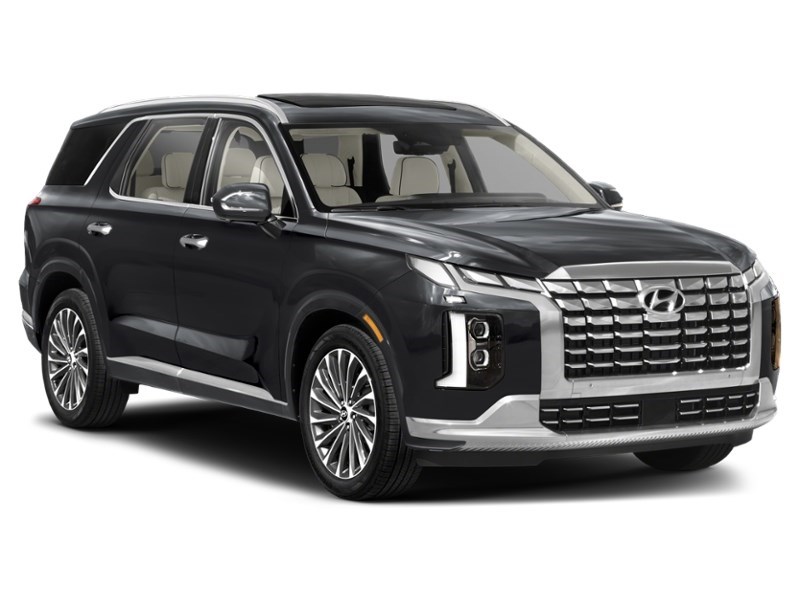 2024 Hyundai Palisade Ultimate Calligraphy Exterior Shot 8