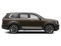 2025 Kia Telluride SX AWD Exterior Shot 10