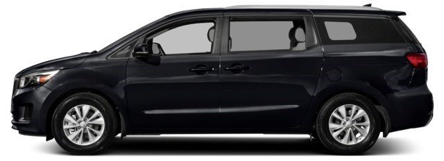 Aurora Black [Black]