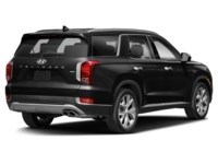 2020 Hyundai Palisade Luxury 7 Passenger Becketts Black  Shot 6