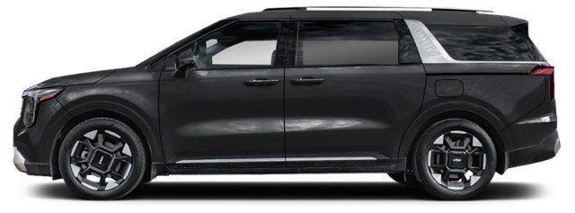 Aurora Black Pearl [Black]