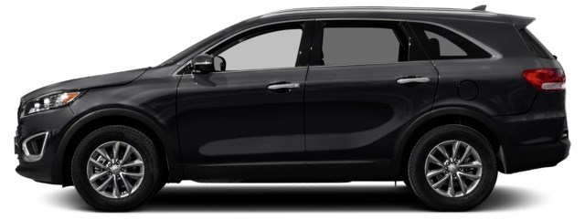 Ebony Black [Black]