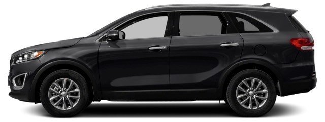 Ebony Black [Black]