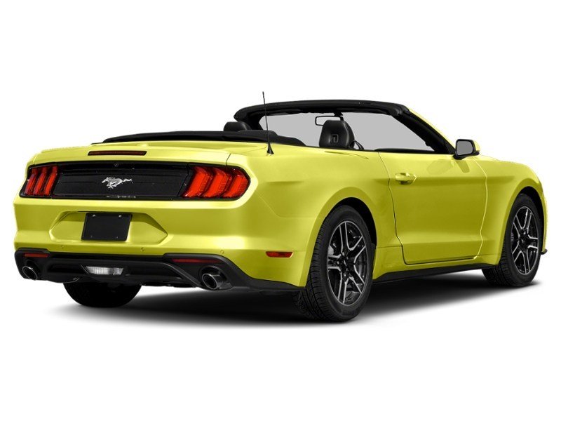 2021 Ford Mustang EcoBoost Grabber Yellow  Shot 6
