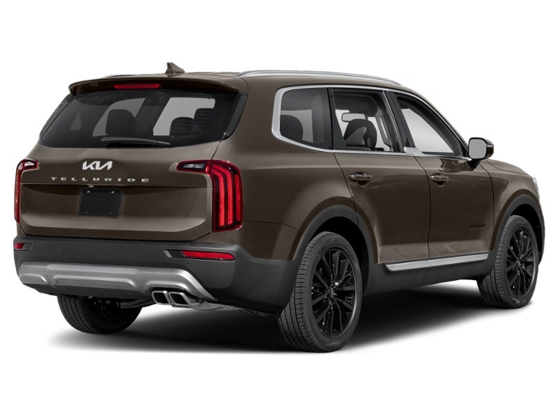 2022 Kia Telluride SX Dark Moss  Shot 20