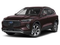 2023 Ford Escape Platinum Cinnabar Red Metallic Premium Colourant  Shot 7