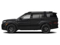 2025 Hyundai Santa Fe XRT Twilight Black  Shot 5