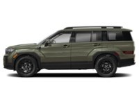 2025 Hyundai Santa Fe XRT Rockwood Green  Shot 22
