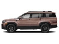 2025 Hyundai Santa Fe XRT Earthy Brass  Shot 28