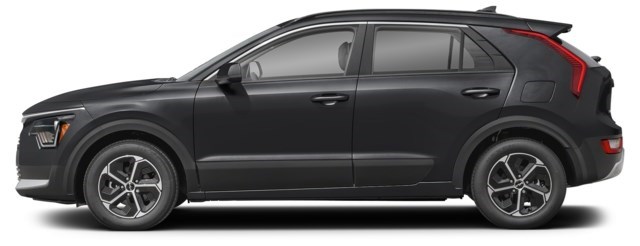 Aurora Black Pearl [Black]