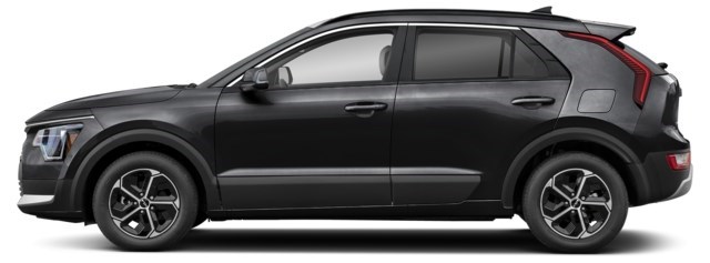Aurora Black Pearl [Black]