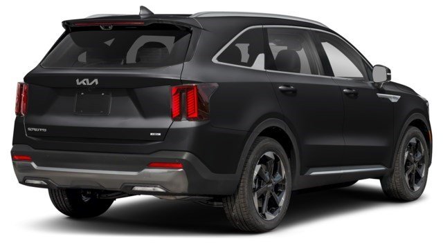 Aurora Black Pearl [Black]