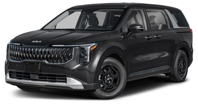 Aurora Black Pearl [Black]