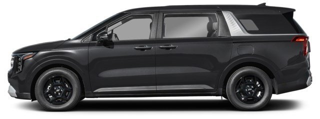Aurora Black Pearl [Black]