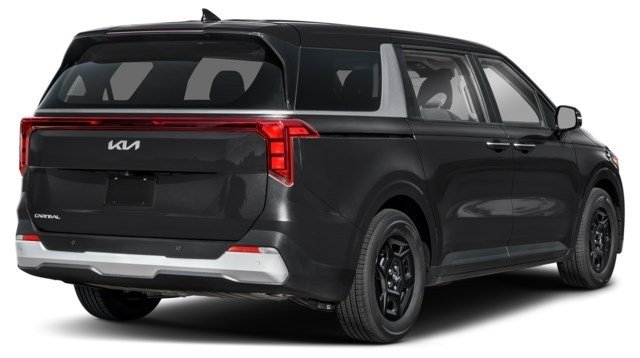 Aurora Black Pearl [Black]