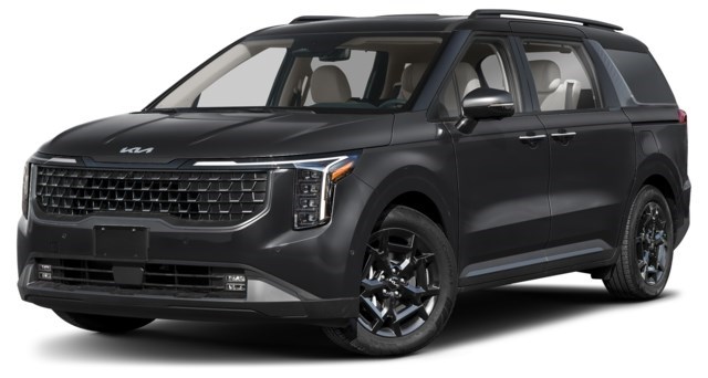 Aurora Black Pearl [Black]