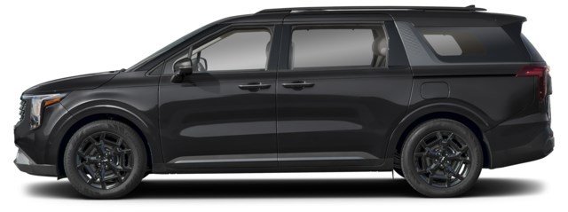Aurora Black Pearl [Black]