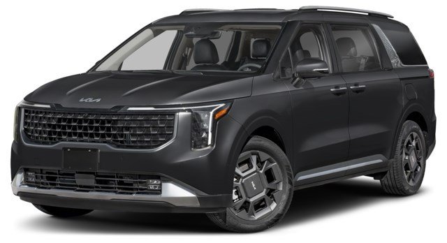 Aurora Black Pearl [Black]